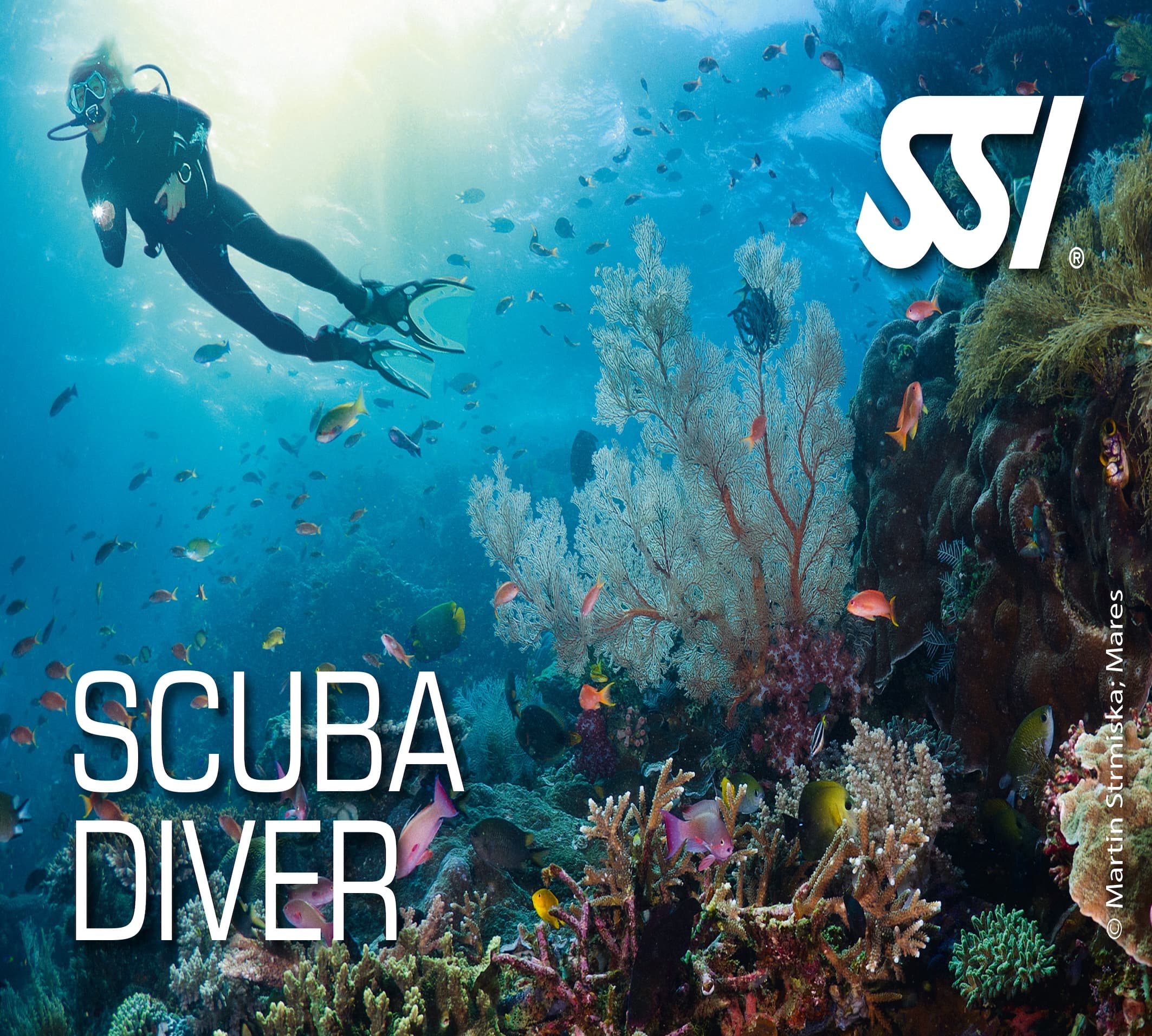 SCUBA DIVER COURSE