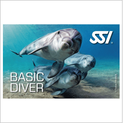 BASIC DIVER 