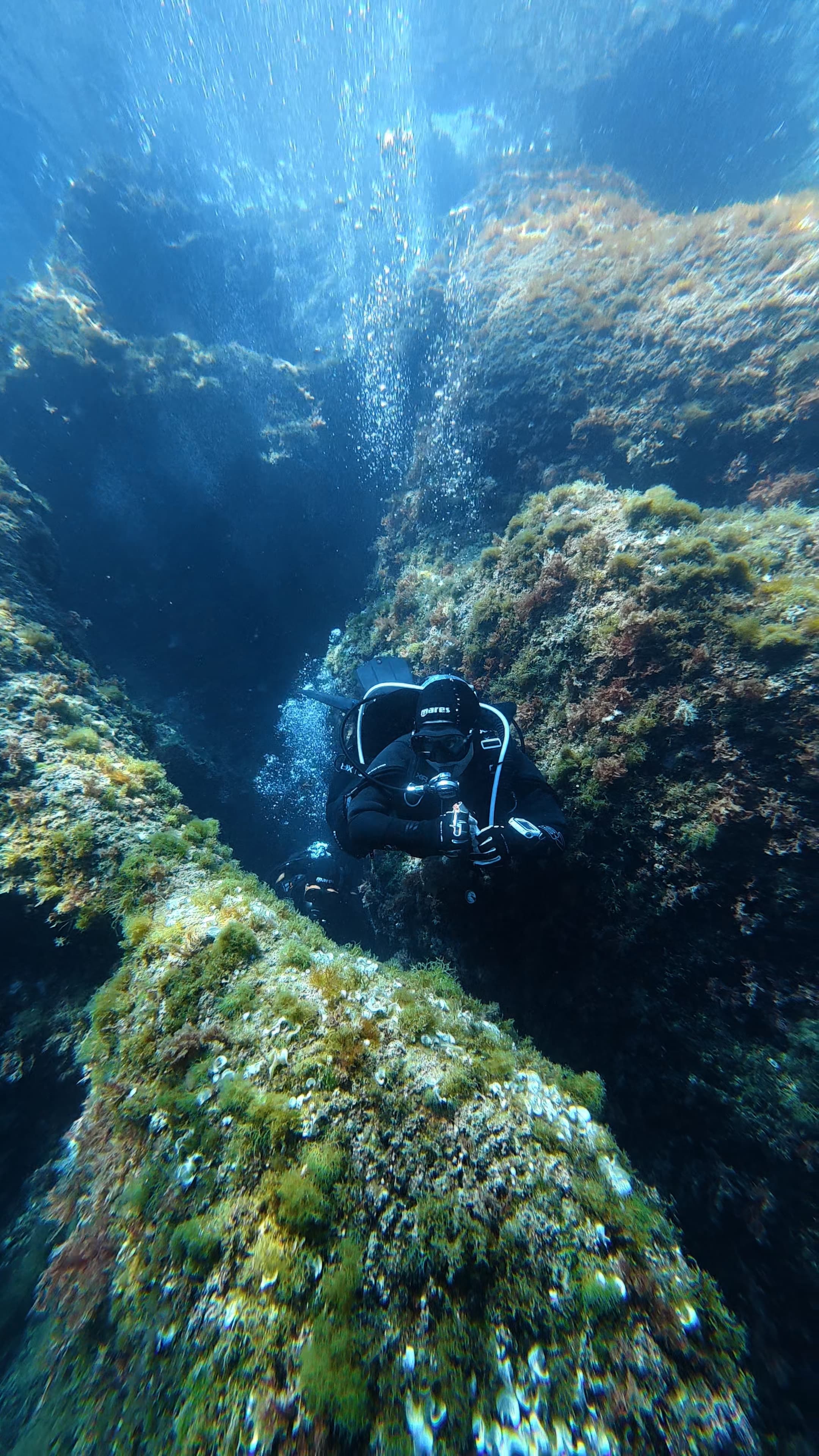 1 DIVE WITH GUIDE